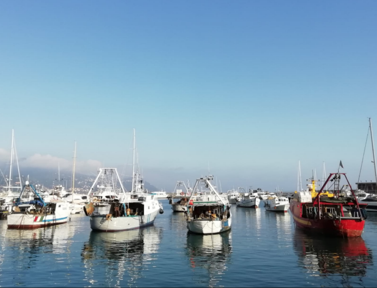 Schermata 2020-02-04 alle 17.50.29