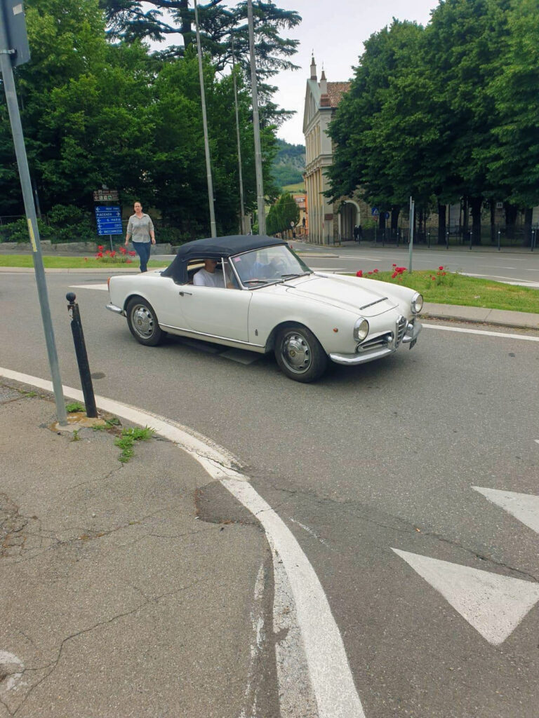 vigneti-zafferano-101