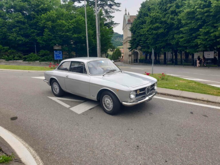 vigneti-zafferano-103