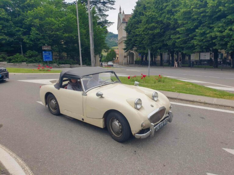 vigneti-zafferano-106