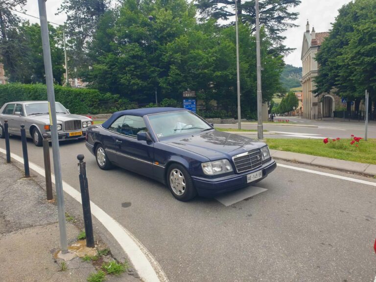 vigneti-zafferano-108