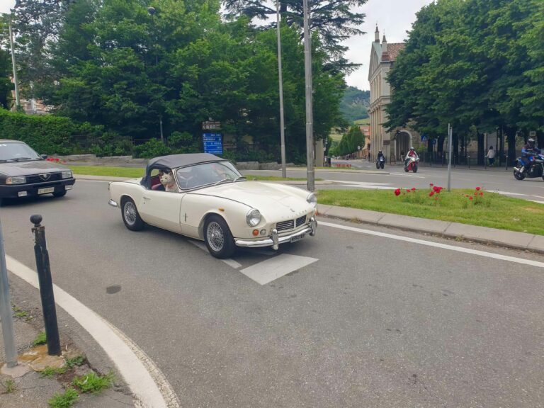 vigneti-zafferano-110