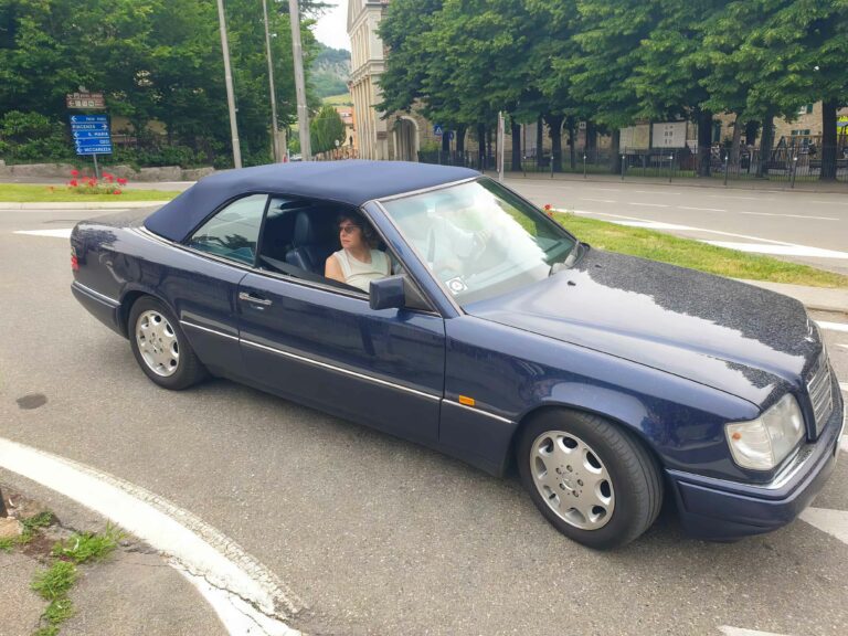 vigneti-zafferano-111