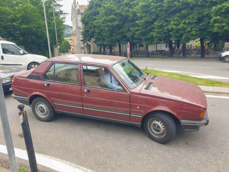 vigneti-zafferano-112