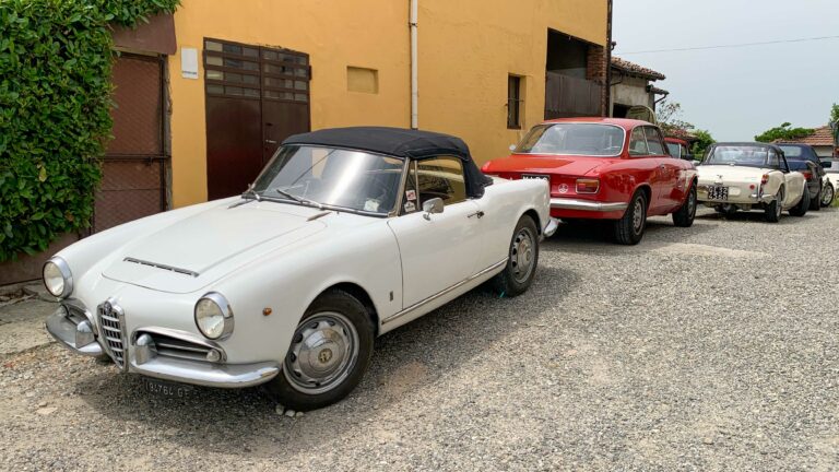 vigneti-zafferano-121