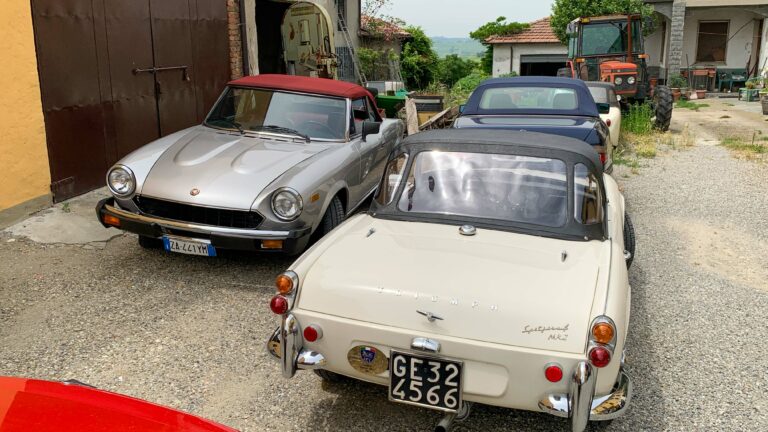 vigneti-zafferano-122