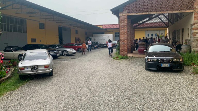 vigneti-zafferano-123