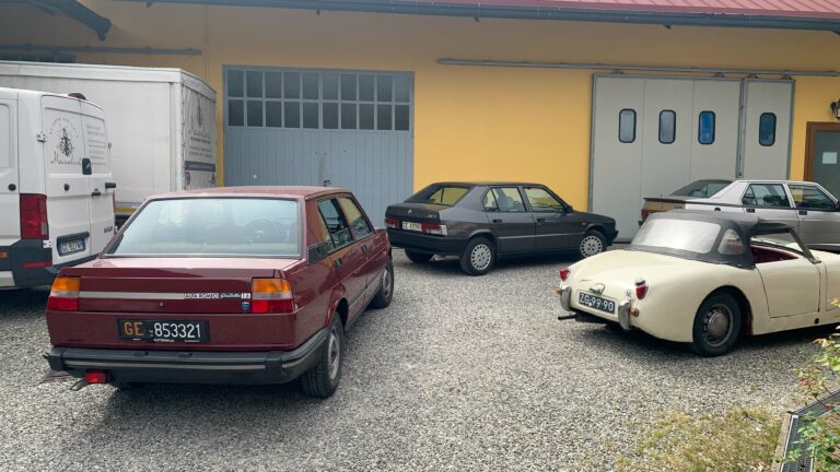 vigneti-zafferano-126