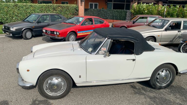 vigneti-zafferano-130