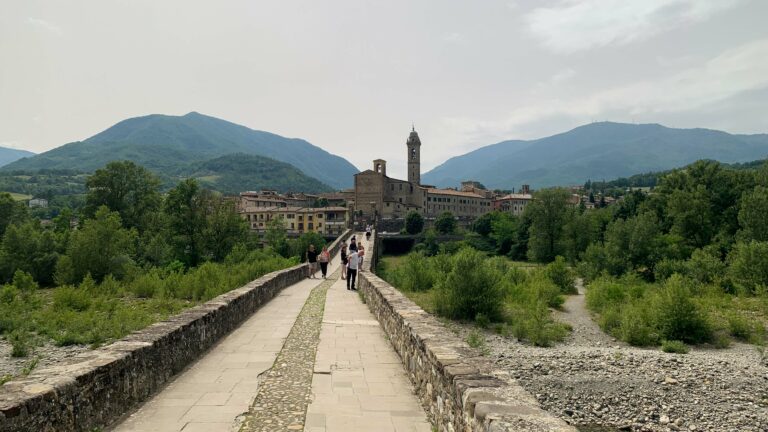 vigneti-zafferano-136